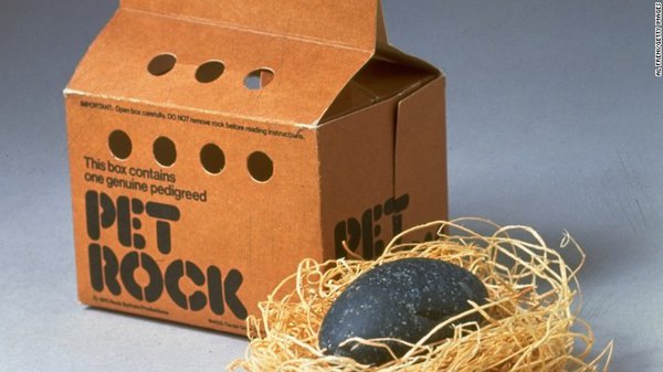 150401072430-pet-rock-780x439.jpg