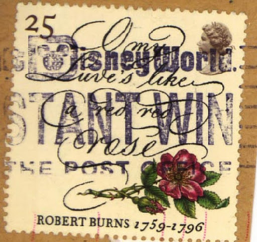 1796.jpg