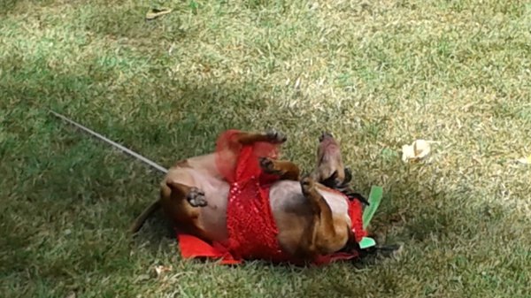 20150809_135308.jpg