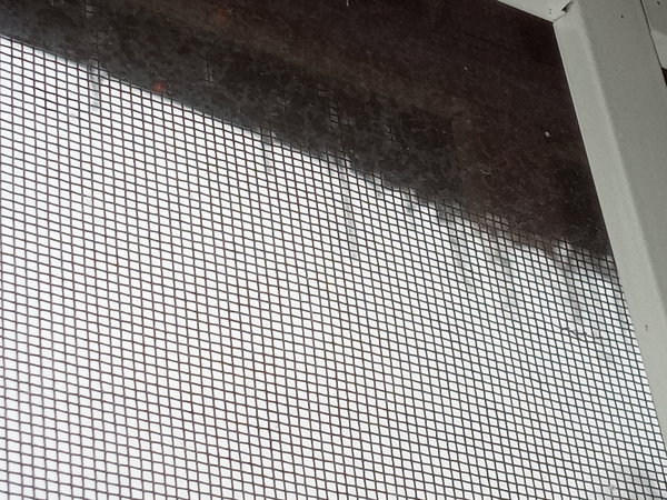 20221223_114911.jpg