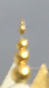 2c.JPG
