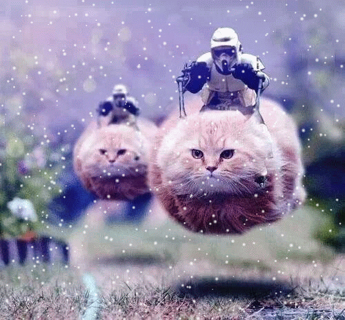 A7CB2762-CB5E-41C1-8F2B-092DE49415F4.gif