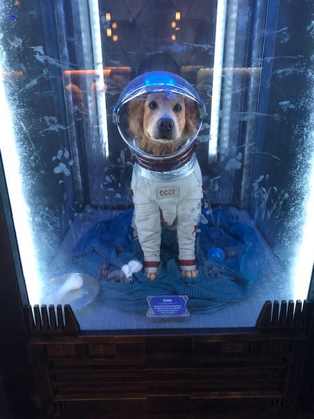 Cosmo the Dog GotG.jpg