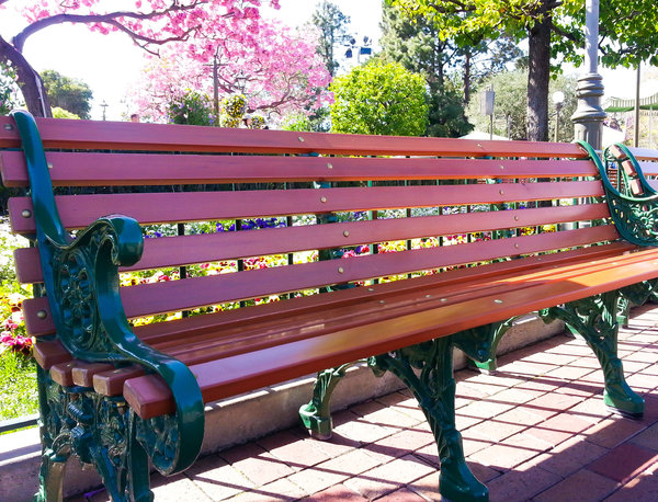 disneyparkbench.jpg