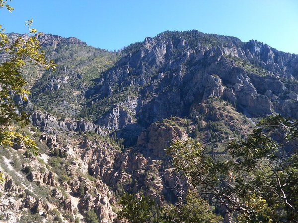 DSCF0461.JPG