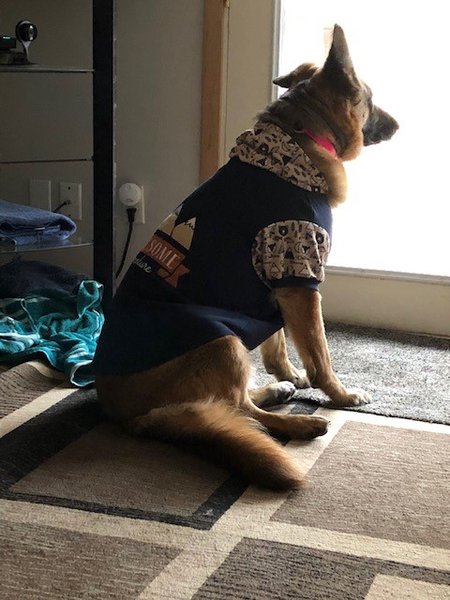Hoodie.jpg