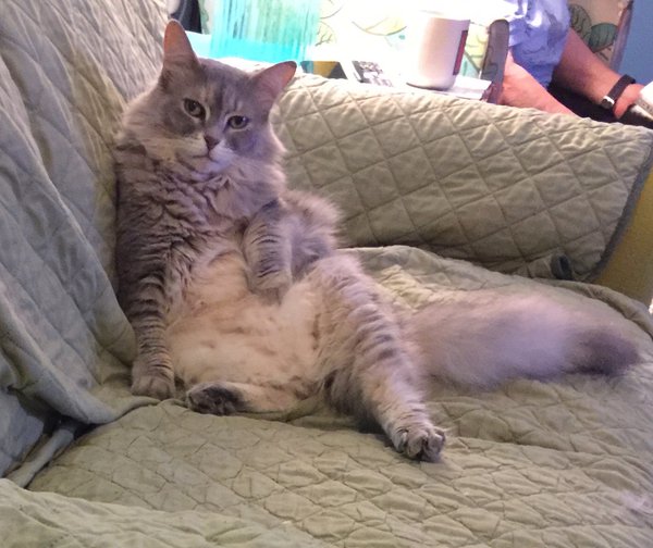 image.jpeg