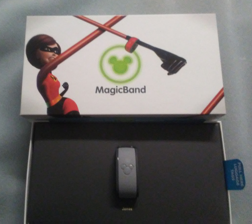 magic band.jpg