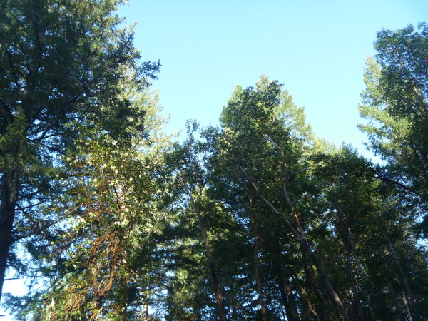 P1040772.JPG