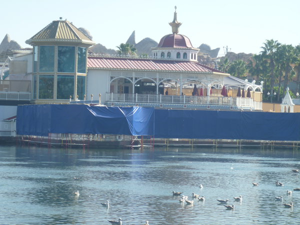 P1060246.JPG