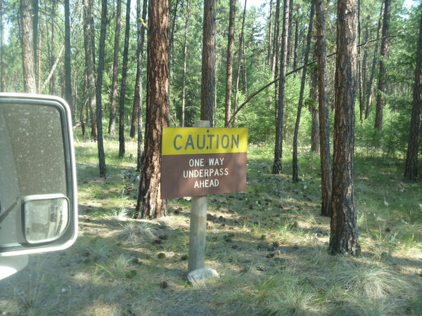 P1060450.JPG