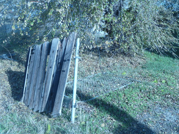 P1060887.JPG
