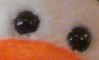 tigger-posing-2 - Copy.jpg