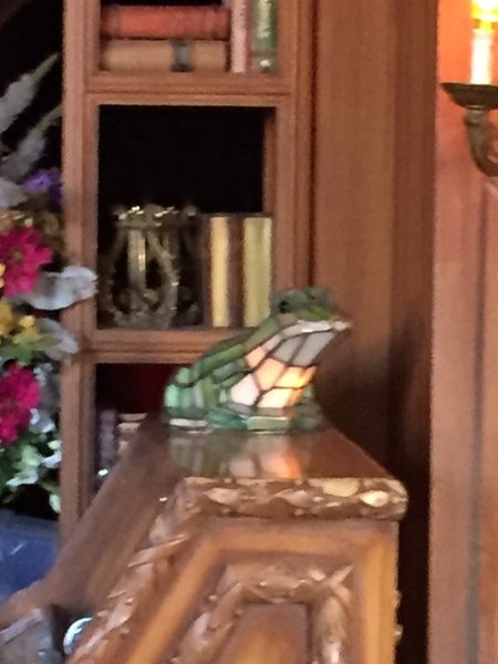 Toad lamp.jpg