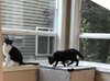 IMG_5843.JPG